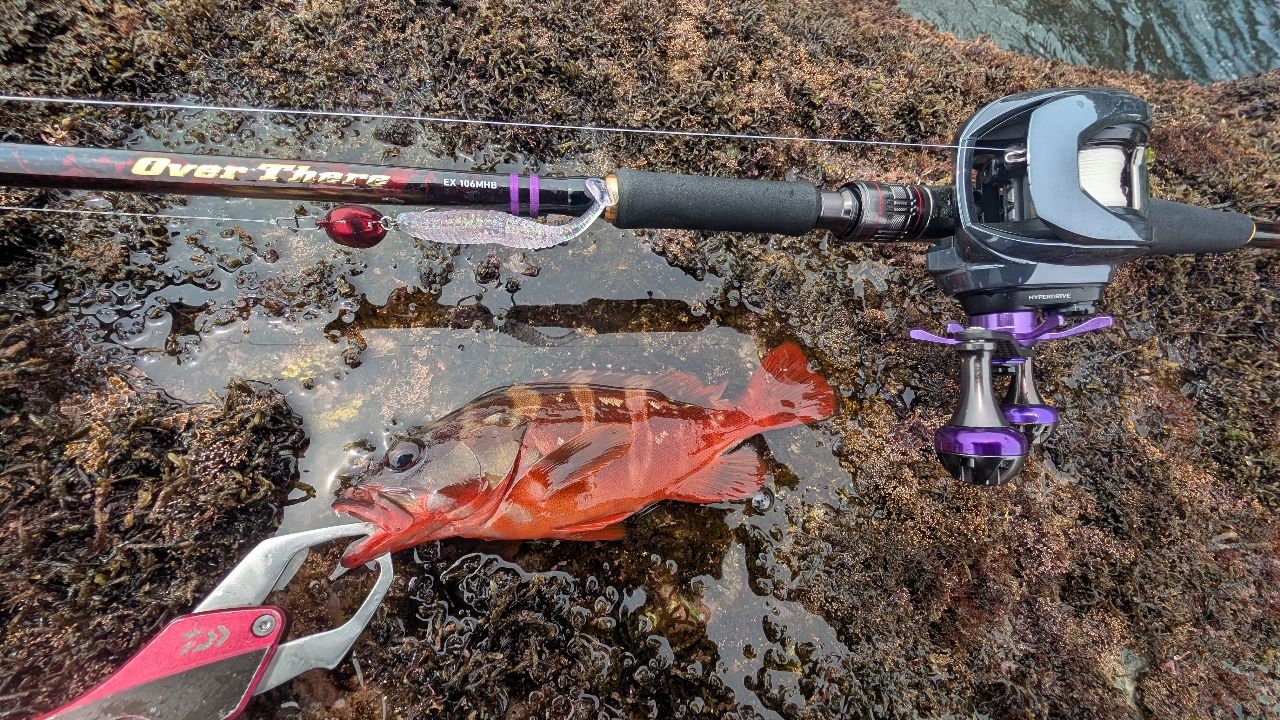 DAIWA 23IM Z リミットブレイカー TW HD-C XHLの最安値・インプレ