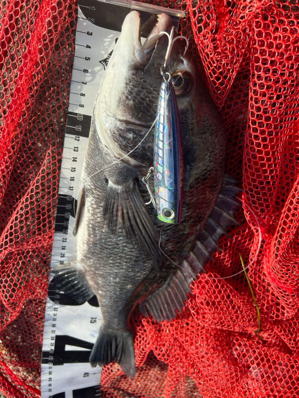 SHIMANO 23ディアルーナ S106MHの最安値・インプレ・釣果 | 本音の