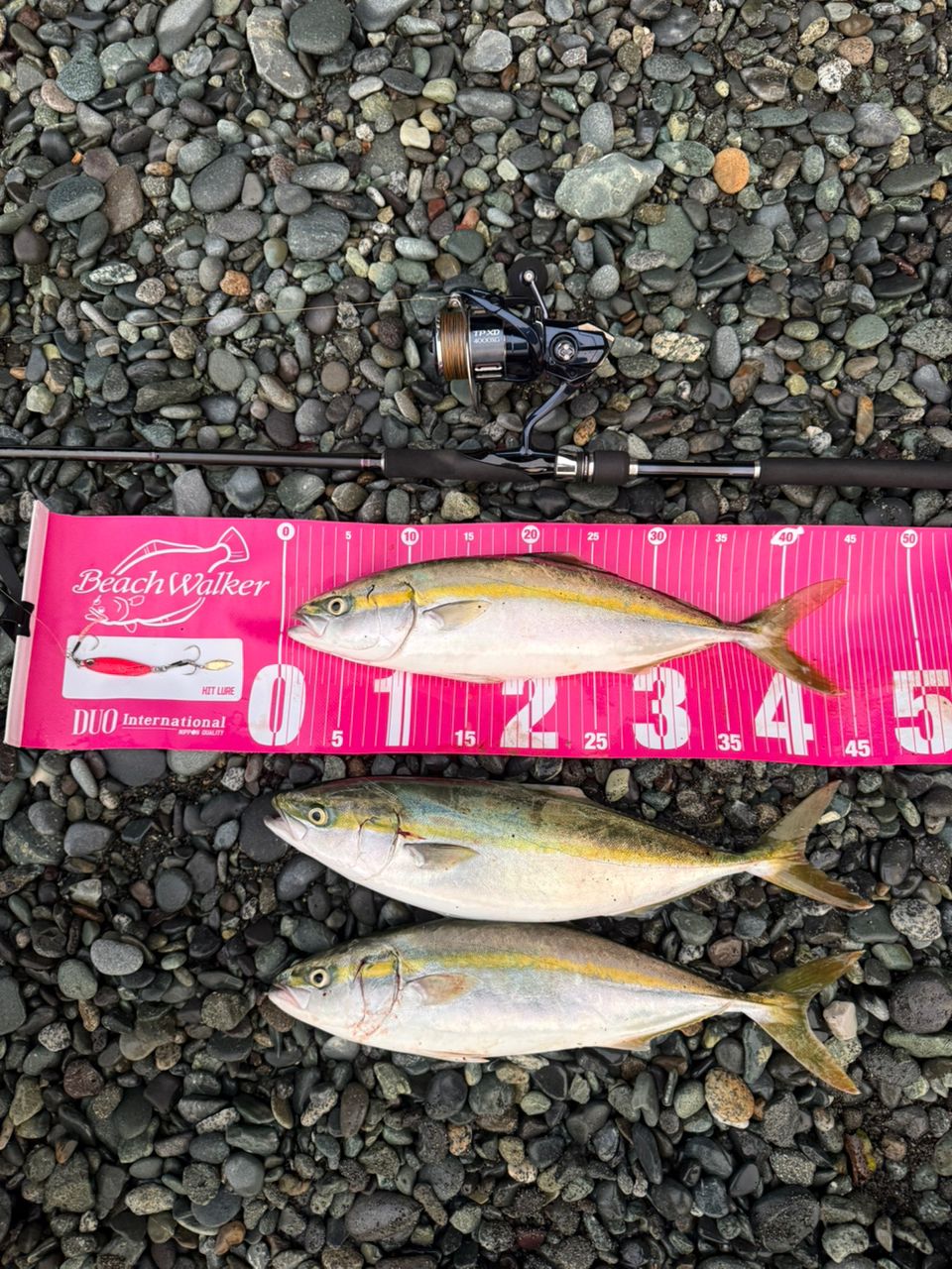 SHIMANO 22コルトスナイパーSS LSJ S100MLの最安値・インプレ・釣果