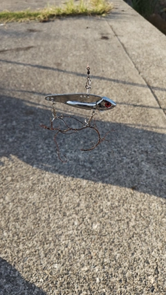 釣果