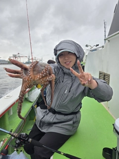 マダコの釣果
