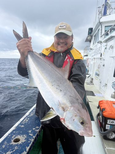 カンパチの釣果