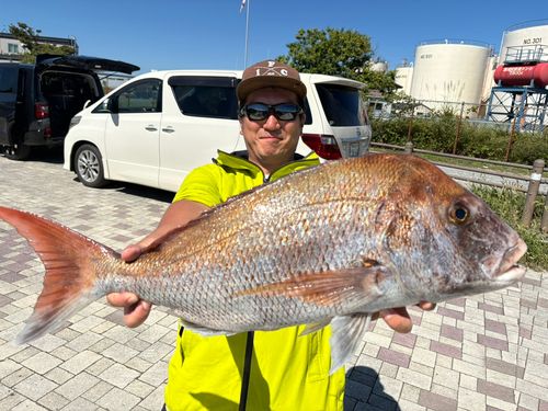 タイの釣果