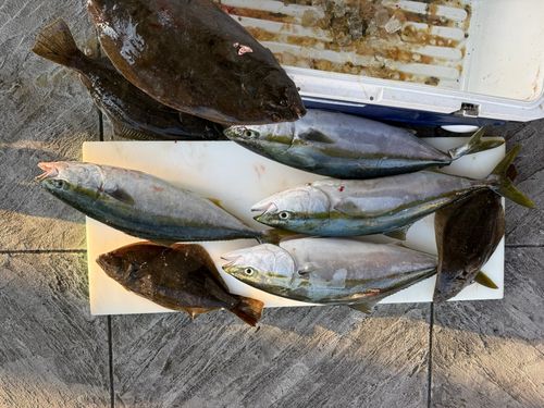 釣果