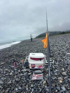 マアジの釣果