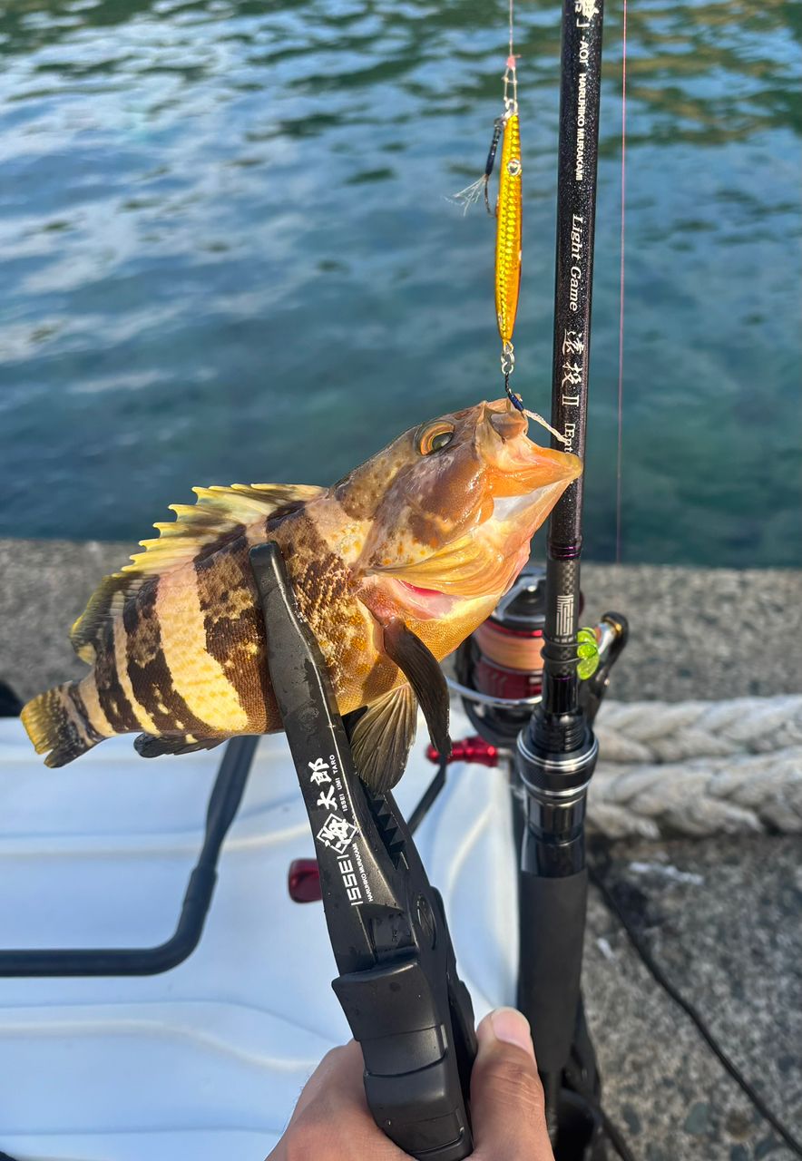 DAIWA 20ルビアス FC LT2500S-XHの最安値・インプレ・釣果 | 本音の