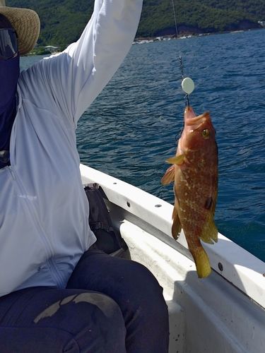 釣果