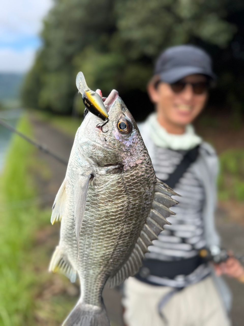DAIWA 22アルファス SV TW 800S-XHLの最安値・インプレ・釣果 | 本音の