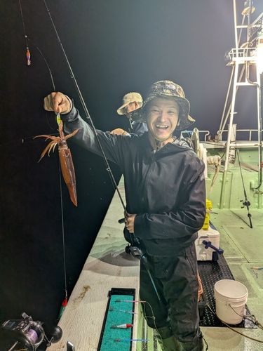 スルメイカの釣果