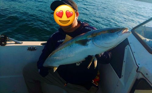 ブリの釣果