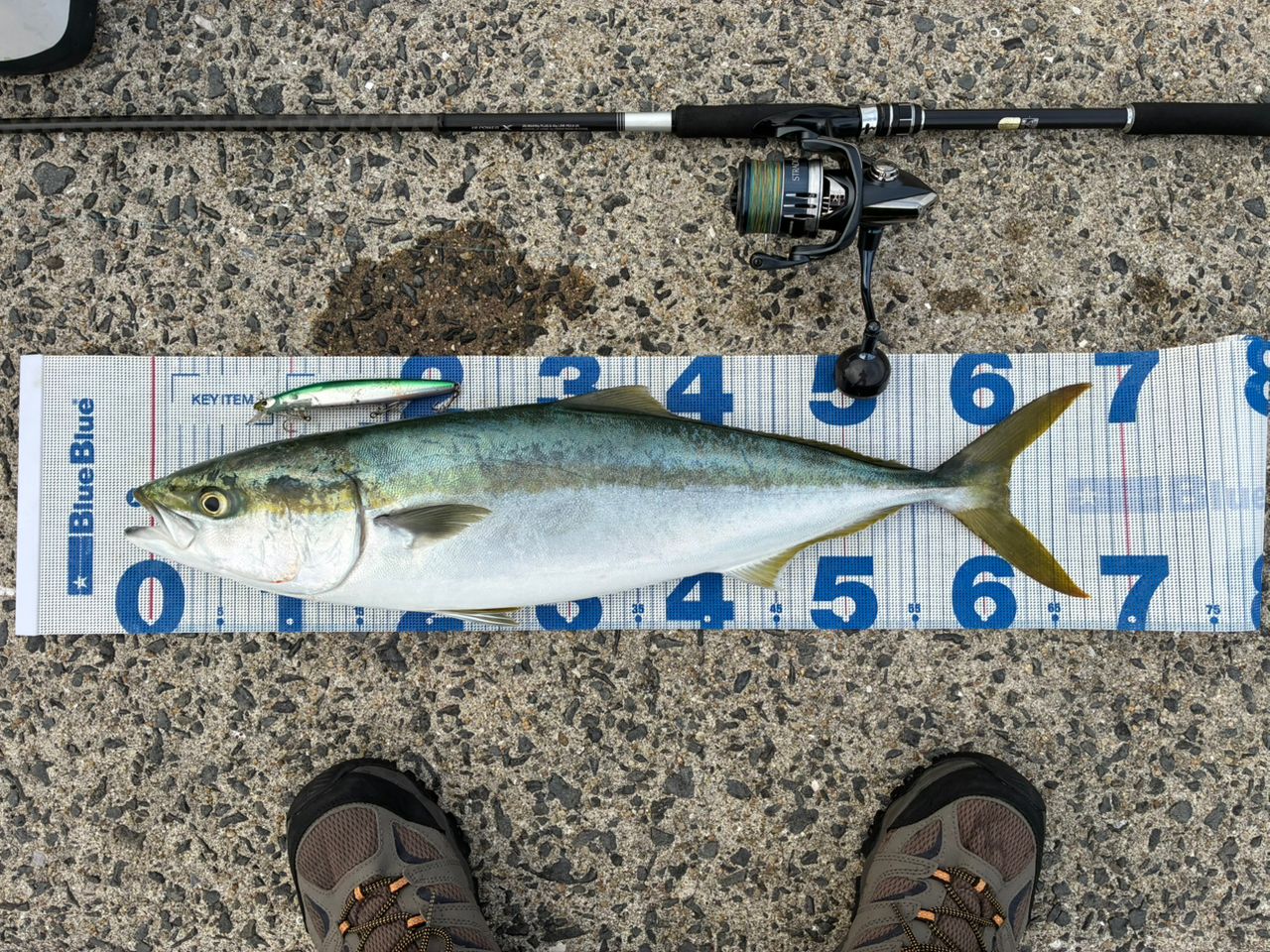 SHIMANO 21ムーンショット S100Mの最安値・インプレ・釣果 | 本音の