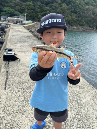 ヒメジの釣果