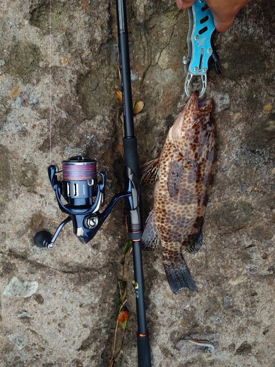 SHIMANO 22ハードロッカー SS S92XH-3の最安値・インプレ・釣果 | 本音