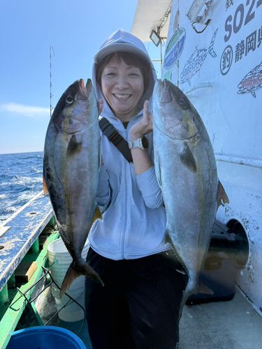 カンパチの釣果