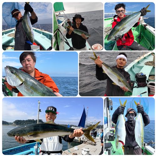 ブリの釣果