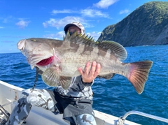クエの釣果