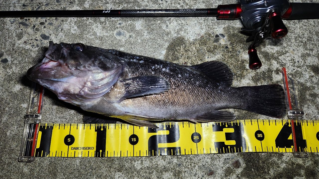 DAIWA 21HRF® (ハードロックフィッシュ) エア 610ML/MB・Nの最安値
