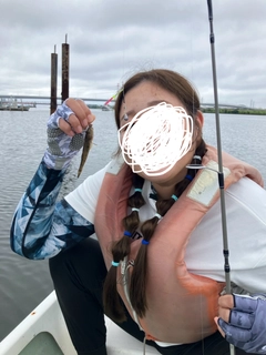 ハゼの釣果