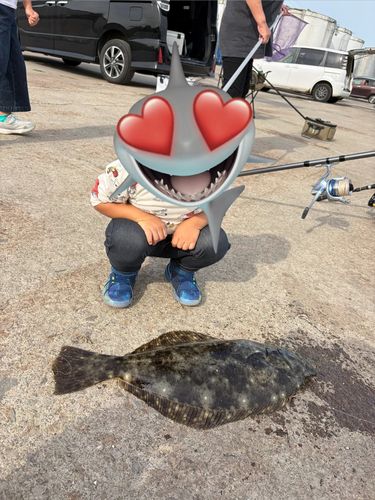 ヒラメの釣果