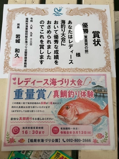 ショウサイフグの釣果