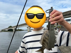 マハゼの釣果