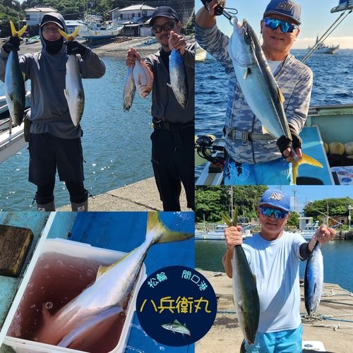 ワラサの釣果