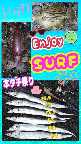 タチウオの釣果