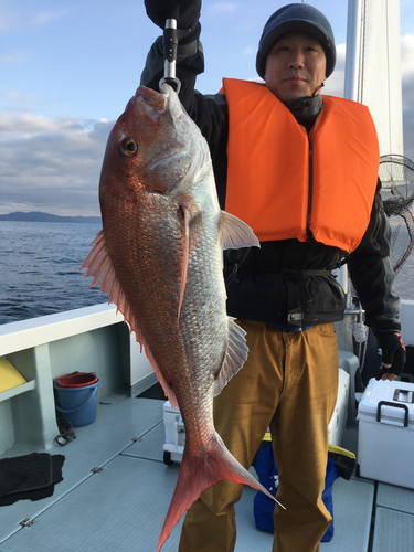 マダイの釣果