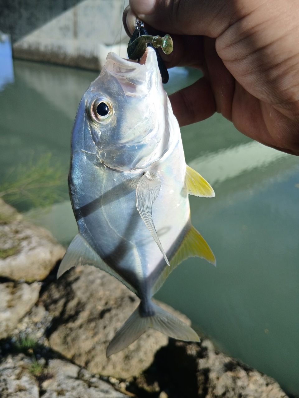 SHIMANO 21ソアレXR S68UL-Sの最安値・インプレ・釣果 | 本音の口コミ