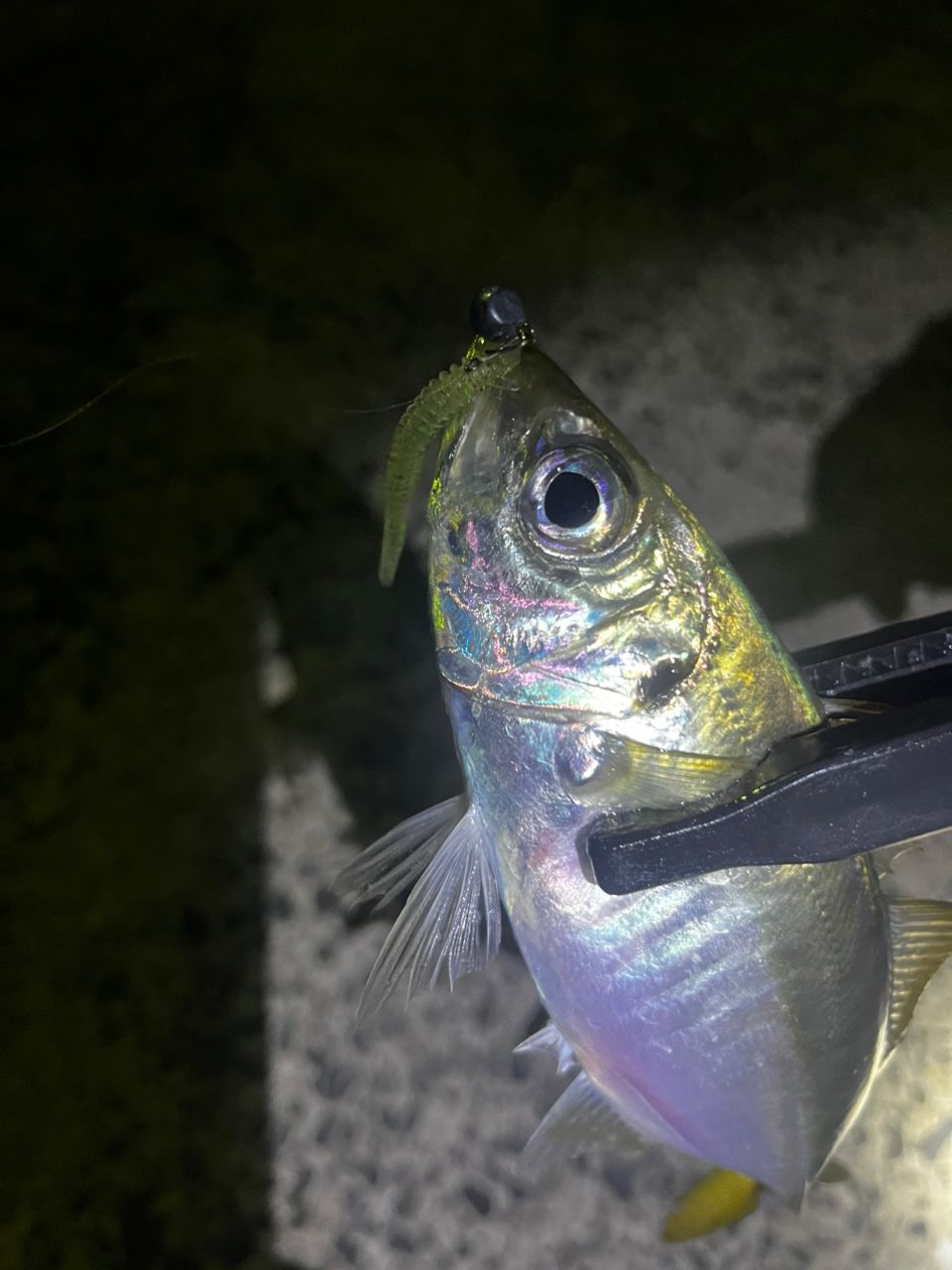 YAMAGA Blanks ブルーカレント TZ 53/TZの最安値・インプレ・釣果