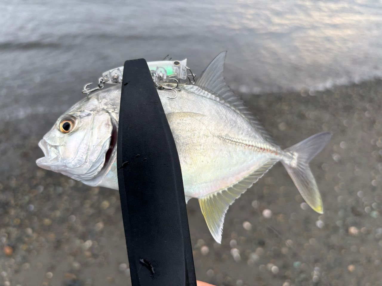 SHIMANO 23ソアレ BB アジング S64UL-Sの最安値・インプレ・釣果