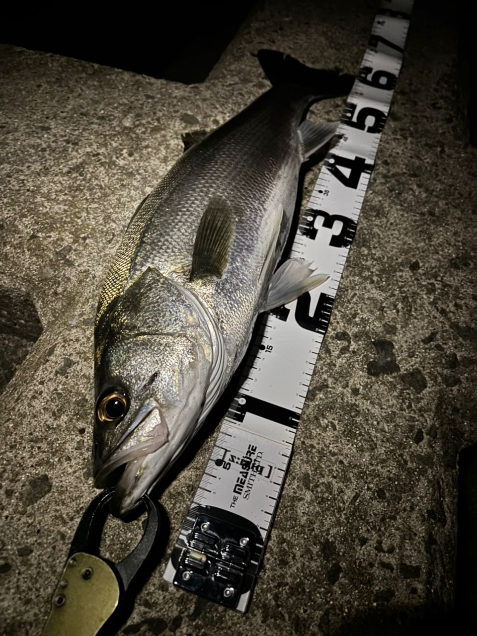 SHIMANO 18ディアルーナ S100Mの最安値・インプレ・釣果 | 本音の