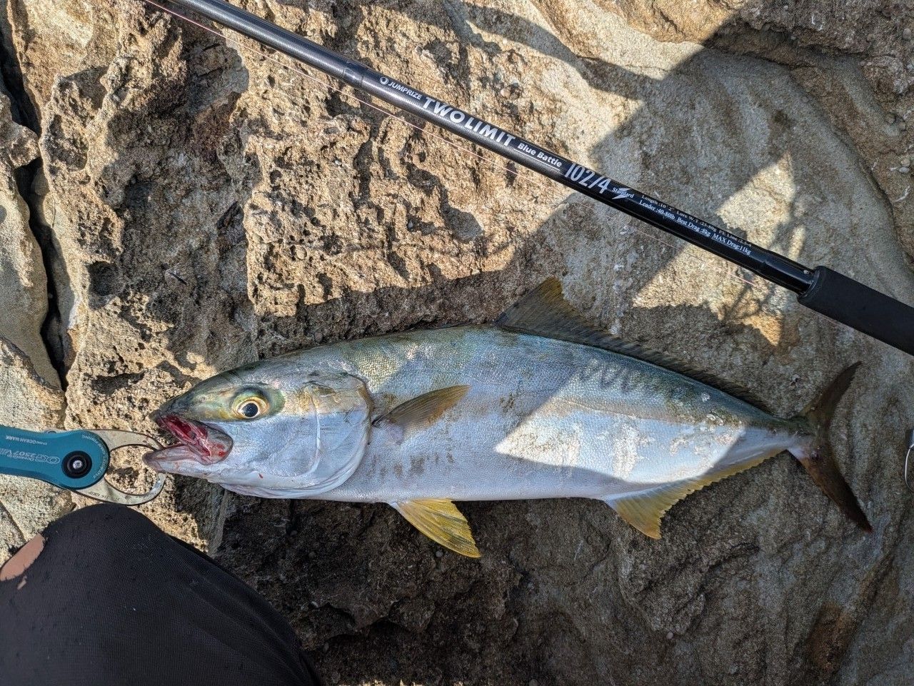 SHIMANO オシア 8 PE 3.0号/5色/300mの最安値・インプレ・釣果 | 本音