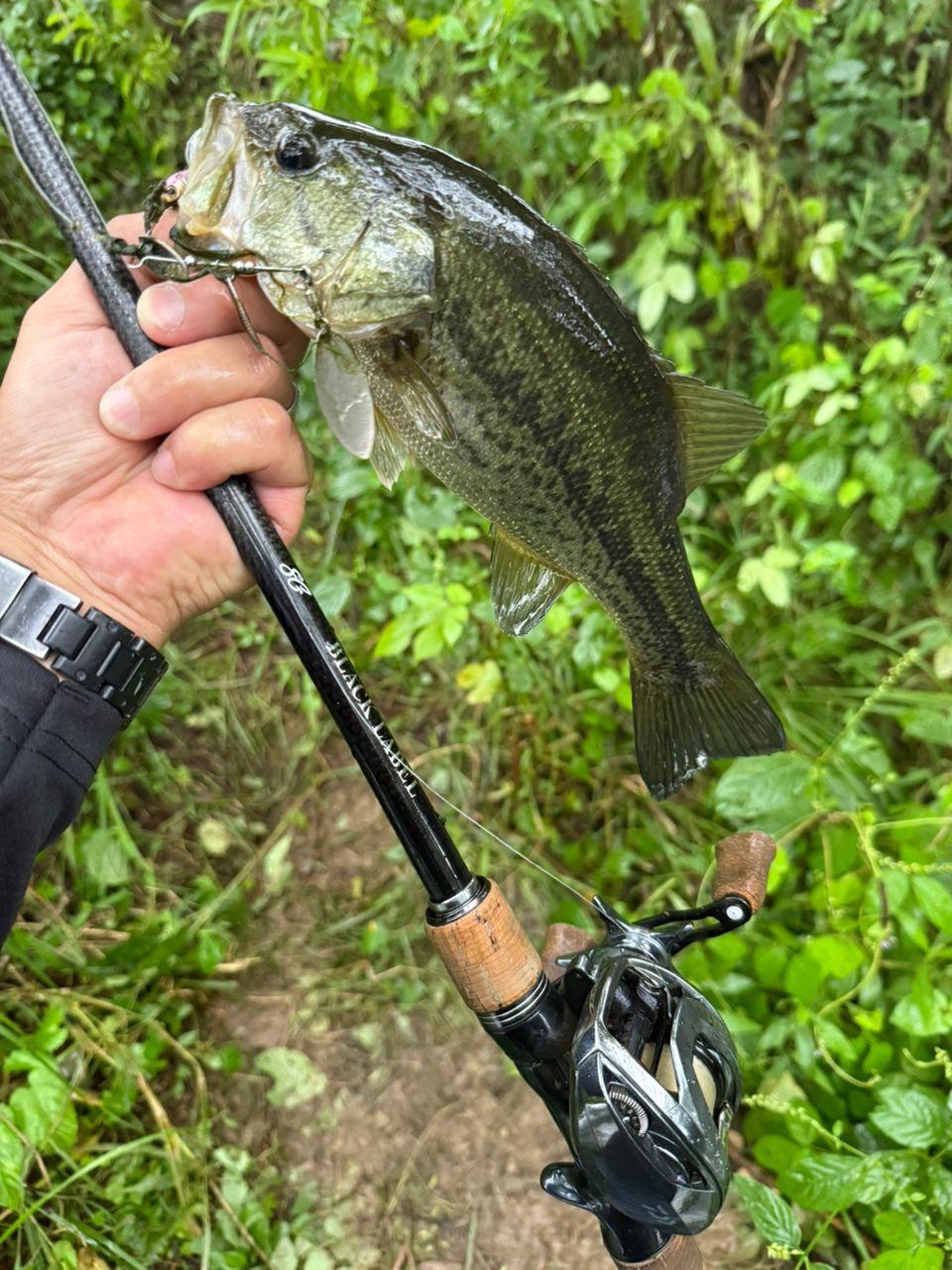 DAIWA 19ブラックレーベル SG 671MHFB-FRの最安値・インプレ・釣果