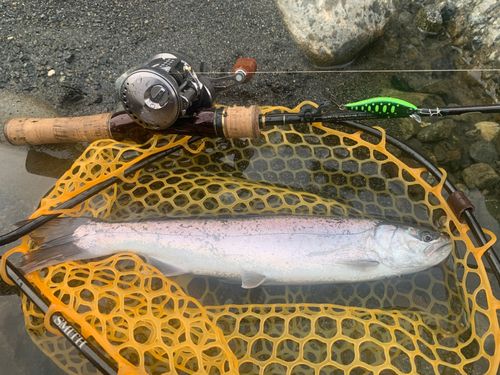 釣果一覧】北海道で釣れたトラウト - アングラーズ | 釣果600万件の