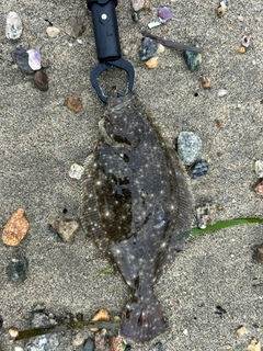 釣果