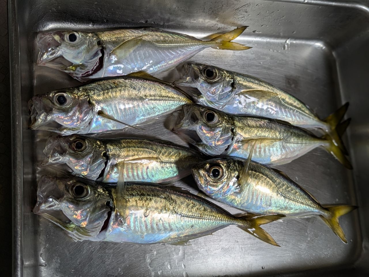 SHIMANO 20ソアレ TT アジング S64UL-Sの最安値・インプレ・釣果