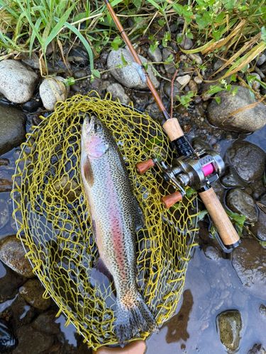 トラウトアングラー 釣果一覧】北海道で釣れたトラウト - アングラーズ | 釣果600万件の