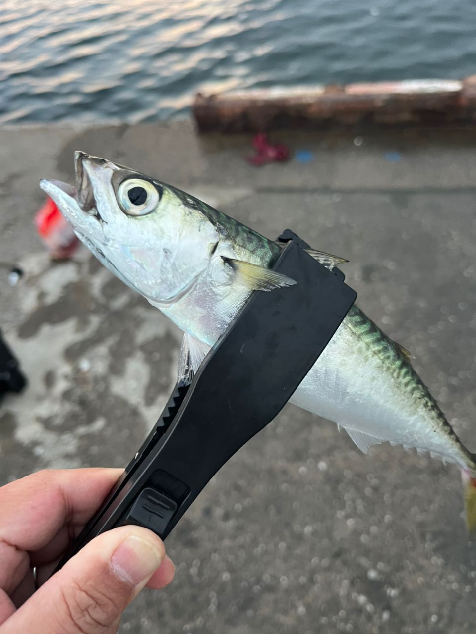 SHIMANO 23コルトスナイパー BB LSJ S100MLの最安値・インプレ・釣果