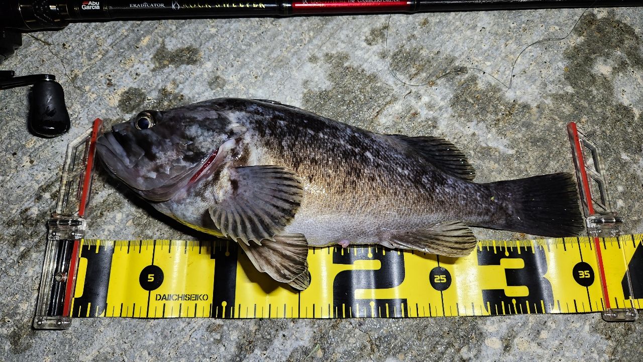 AbuGarcia エラディケーター ロックスイーパー ERSC-777H-MLの最安値