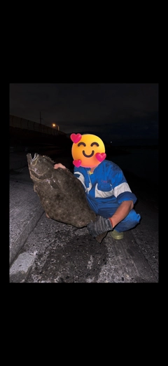 ヒラメの釣果