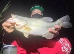 ブラックバスの釣果