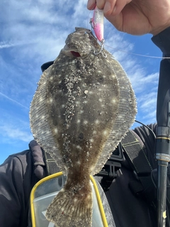 ソゲの釣果