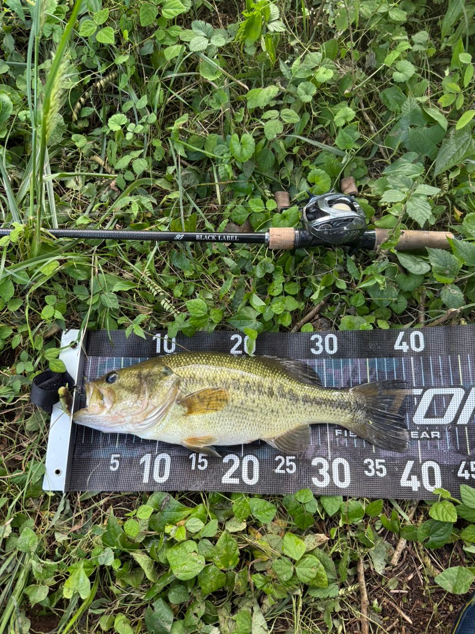 DAIWA 19ブラックレーベル SG 671MHFB-FRの最安値・インプレ・釣果