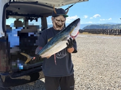 ブリの釣果