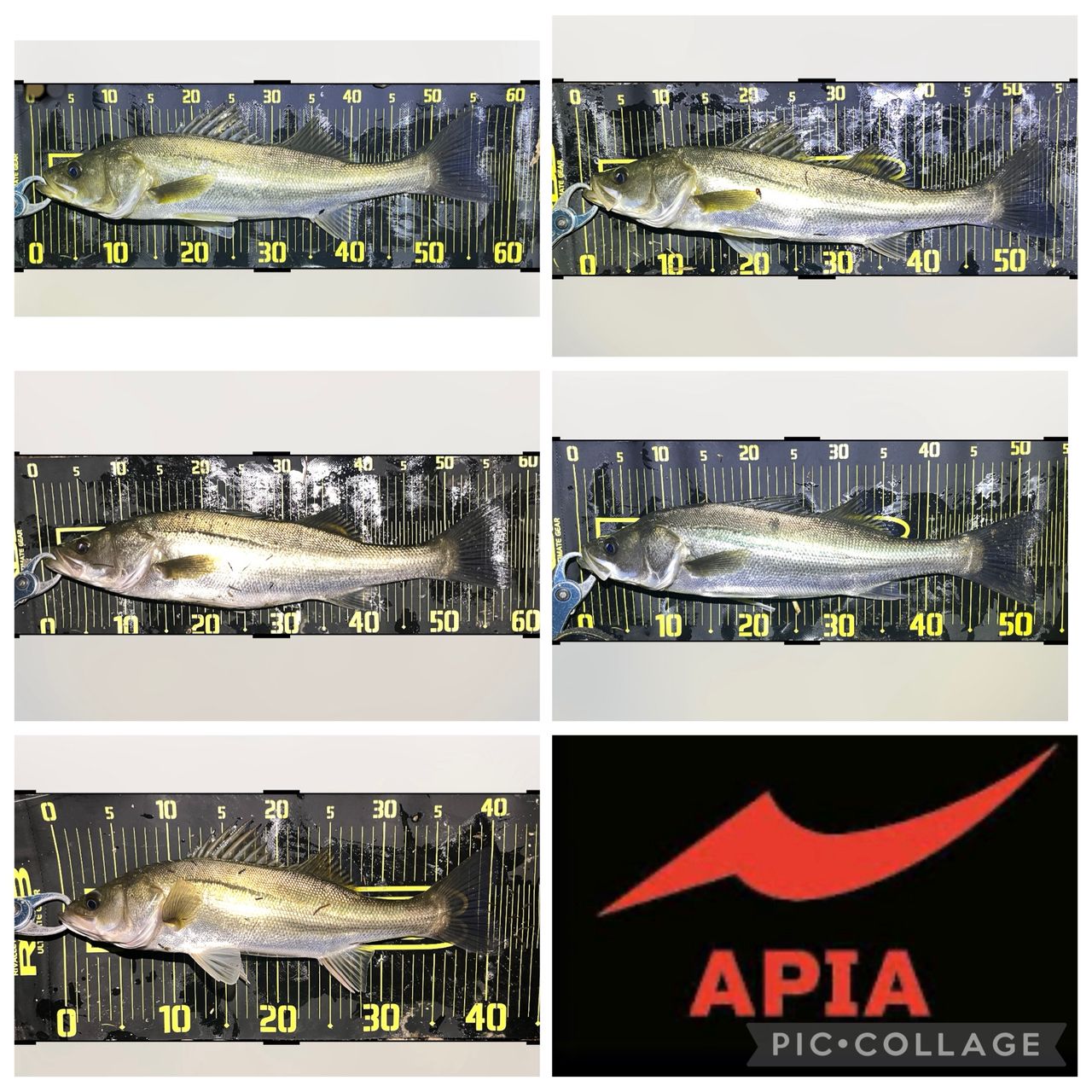 APIA フージン' Z GENEROUS 94Mの最安値・インプレ・釣果 | 本音の