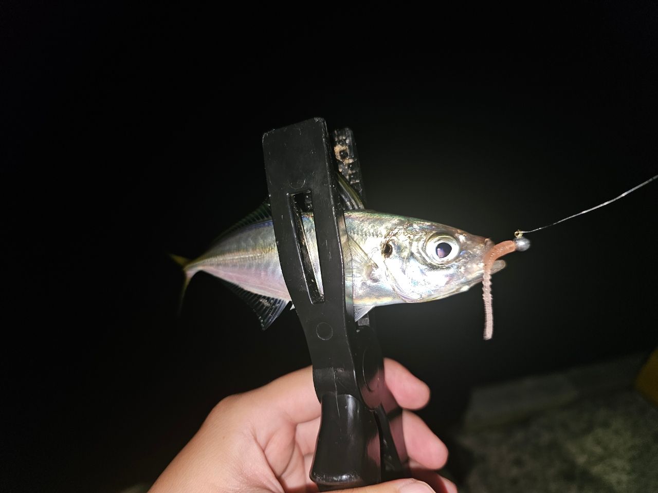 SHIMANO 22ソアレ SS アジング S68SUL-Sの最安値・インプレ・釣果