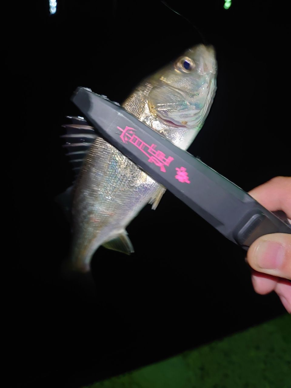 DAIWA 22イグジスト SF1000S-Pの最安値・インプレ・釣果 | 本音の