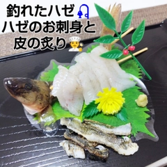 ハゼの釣果