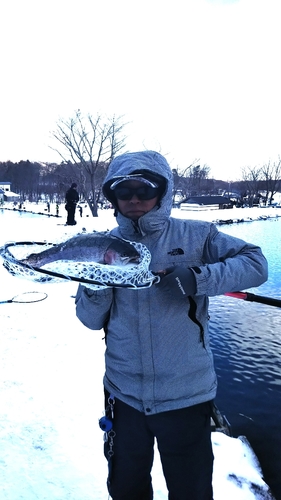 レインボートラウトの釣果